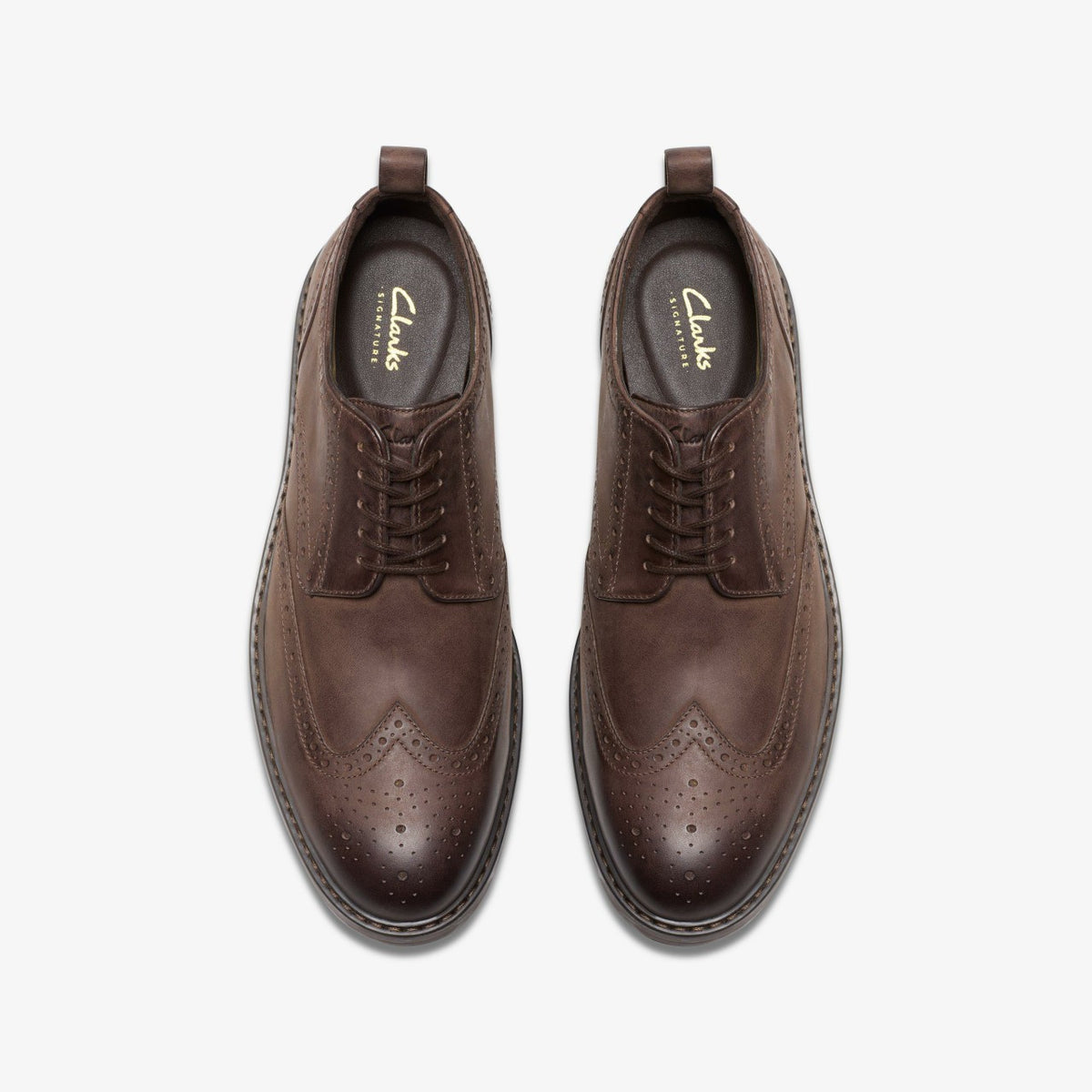 Men Aldwin Limit Brogue Brown Leather