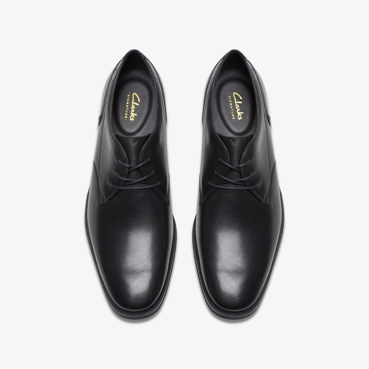 Men Paulton Lace Black